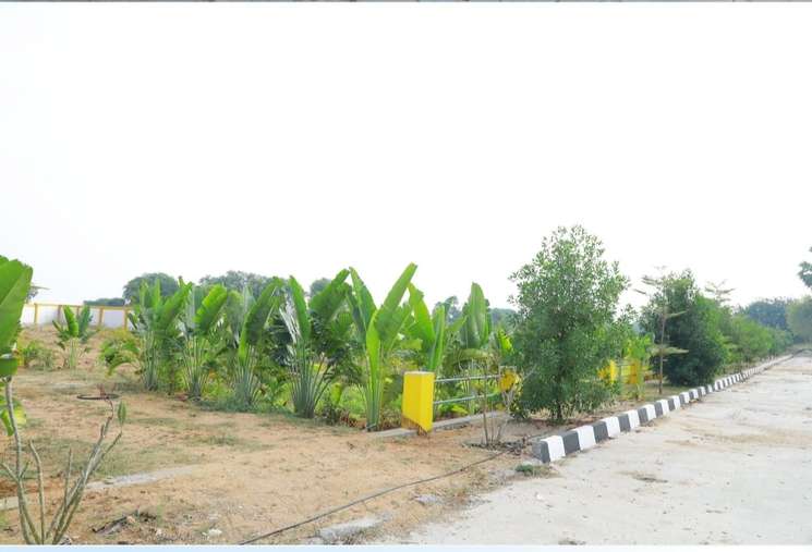 Commercial Land 200 Sq.Yd. in Bibinagar Hyderabad