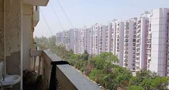 1.5 BHK Apartment For Rent in Royal Green City Gomati Nagar Gomti Nagar Lucknow 6803013