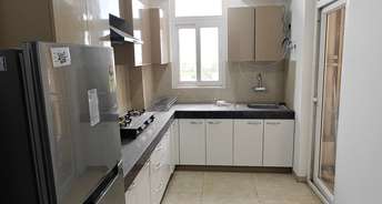 2 BHK Apartment For Rent in Pakhowal Road Ludhiana 6803076