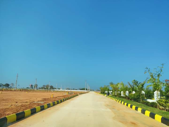 Plot For Resale in Shadnagar Hyderabad  6803093