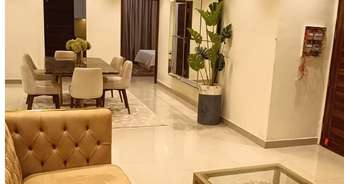 3 BHK Apartment For Resale in South Mullanpur Chandigarh 6804049