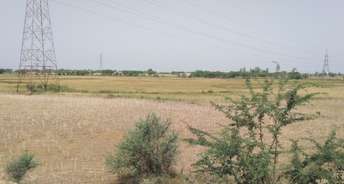 Commercial Land 5 Acre For Resale In Malanpur Gwalior 6804078