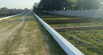  Plot For Resale in Aish Bagh Bhopal 6804323