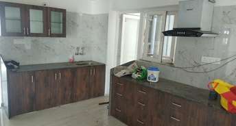 3 BHK Apartment For Rent in Tilhari Jabalpur 6804321
