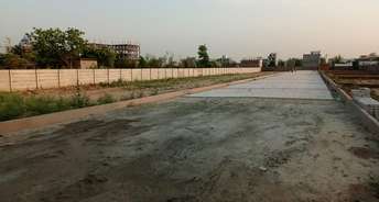  Plot For Resale in Faizabad Road Lucknow 6804368
