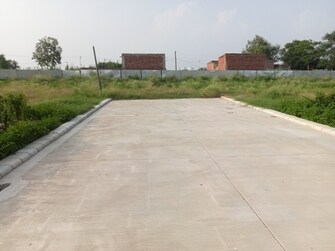 Plot For Resale in Mullanpur Chandigarh  6804614