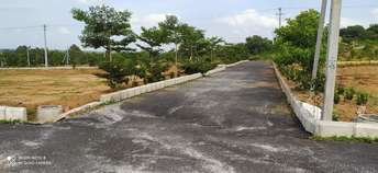 Plot For Resale in Rajapet Hyderabad  6804867