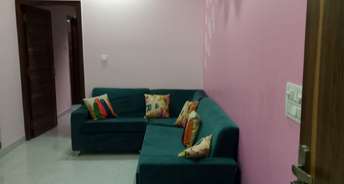 2 BHK Builder Floor For Rent in RWA Block B1 Paschim Vihar Paschim Vihar Delhi 6804915