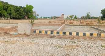  Plot For Resale in Sushant Golf City Lucknow 6805114
