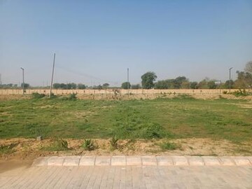 Plot For Resale in Faridabad Central Faridabad  6805819