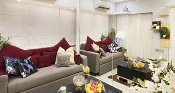 2.5 BHK Apartment For Rent in Bandra West Mumbai 6806389