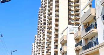 2 BHK Apartment For Resale in Gaur Yamuna City Yex Gaur Yamuna City Greater Noida 6806467