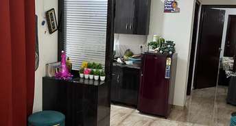 1 BHK Apartment For Rent in Pivotal Devaan Sector 84 Gurgaon 6806638