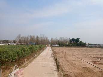  Plot For Resale in Gill Colony Saharanpur 6806755