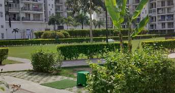 4 BHK Apartment For Rent in Parker White Lily Sector 8 Sonipat 6806887