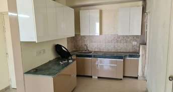 2 BHK Apartment For Rent in Jaypee Greens Aman Sector 151 Noida 6807077