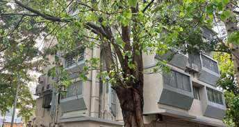 2 BHK Apartment For Rent in Kalpak Corner Apartments Bandra West Mumbai 6807235