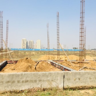 Plot For Resale in Sector 20 Greater Noida  6808118