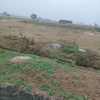 Plot For Resale in Sector 20 Greater Noida  6808118