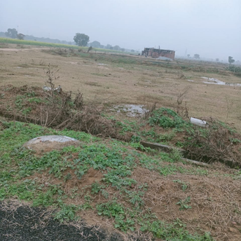  Plot For Resale in Sector 20 Greater Noida 6808118