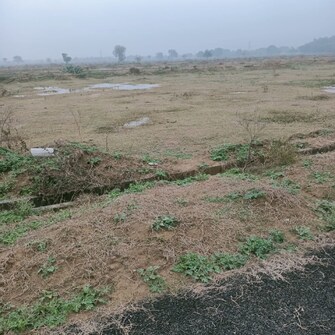 Plot For Resale in Sector 20 Greater Noida  6808118