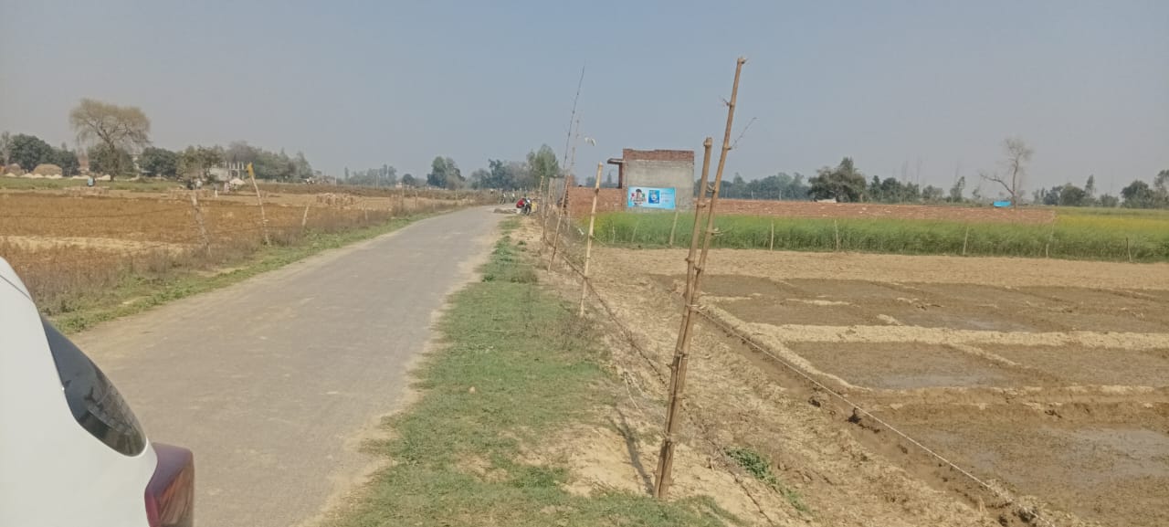  Plot For Resale in Deva Road Lucknow 6808228