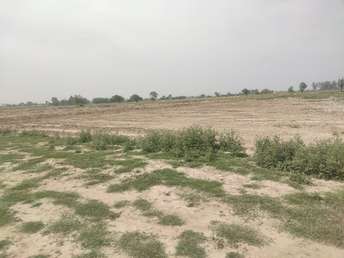 Plot For Resale in Yamuna Expressway Greater Noida  6808275