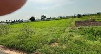  Plot For Resale in Sector 20 Panchkula 6808324
