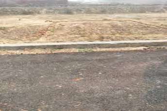  Plot For Resale in Sector 20 Panchkula 6808363