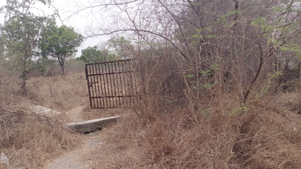 Plot For Resale in Tellapur Hyderabad  6808430