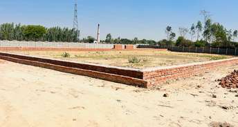 Plot For Resale in Kanpur Road Lucknow 6808475
