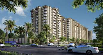 1 BHK Apartment For Resale in Ajmer Road Jaipur 6808793