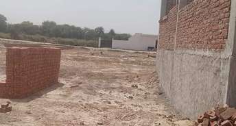  Plot For Resale in Sector 92 Faridabad 6809026