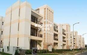 3 BHK Apartment For Resale in Puri Vip Floors Sector 81 Faridabad 6809483