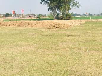 Commercial Land 121 Sq.Yd. For Resale In Sector 92 Mohali 6809781