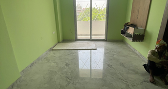 2 BHK Builder Floor For Rent in Ansal Plaza Sector 23 Ansal Plaza Gurgaon 6810024