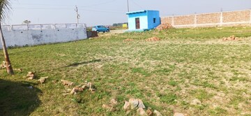 Plot For Resale in Jewar Greater Noida  6810205