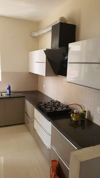 4 BHK Apartment For Rent in Nagla Road Zirakpur 6810525