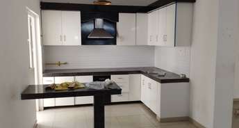 3 BHK Apartment For Rent in Gulshan Ikebana Sector 143 Noida 6810614