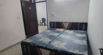 1 BHK Builder Floor For Rent in RWA Malviya Block B1 Malviya Nagar Delhi 6810668