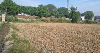 Commercial Industrial Plot 10000 Sq.Ft. For Rent In Digha Ghat Patna 6810691