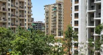 2 BHK Apartment For Rent in Pragati Serene Nibm Annexe Pune 6810731
