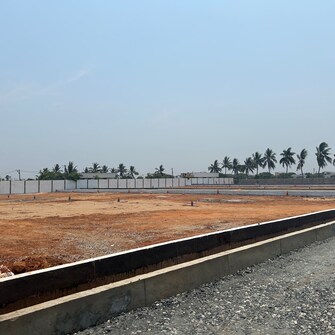 Plot For Resale in Dhanalakshmi Puram Nellore  6811004