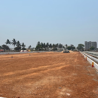 Plot For Resale in Dhanalakshmi Puram Nellore  6811004