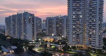 4 BHK Apartment For Rent in Bestech Park View Spa Sector 47 Gurgaon 6811221