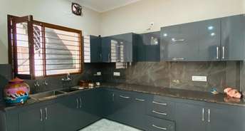 2 BHK Apartment For Rent in Sector 124 Mohali 6811302