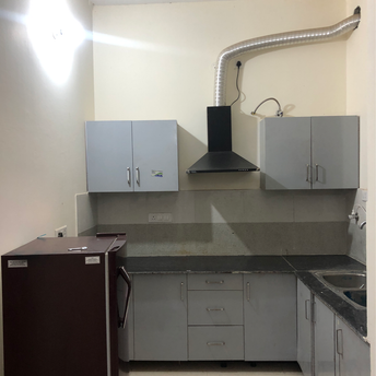 1 BHK Apartment For Rent in Sector 127 Mohali 6812034