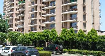 1 BHK Apartment For Rent in Signature Global Synera Sector 81 Gurgaon 6812081