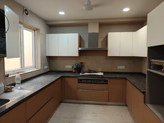 3 BHK Builder Floor For Resale in Greater Kailash I Delhi  6812180