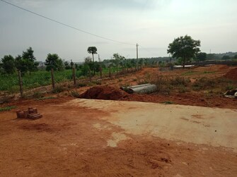 Plot For Resale in Mansanpalle Hyderabad  6812175